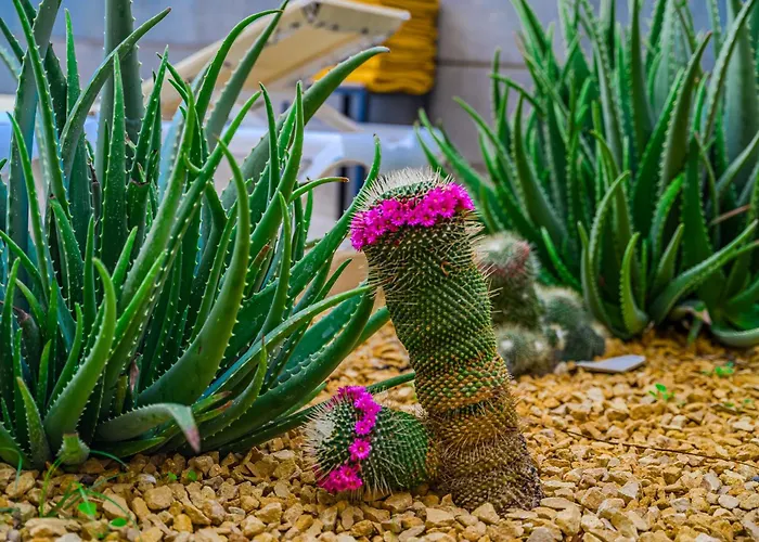 - 3 Bedroom House With Pool Casa de Férias