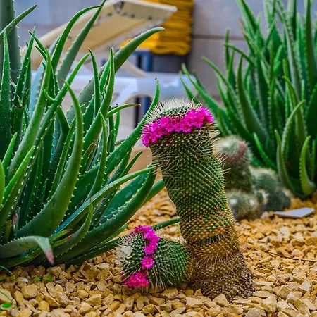 - 3 Bedroom House With Pool Dom wakacyjny