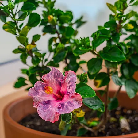 Prázdninový dům - 3 Bedroom House With Pool